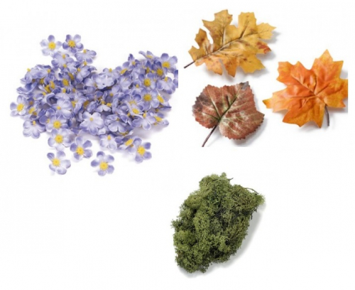 Flori, Frunze, Muschi, Iarba